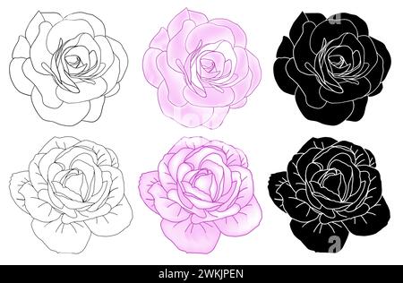 Camellia flowers line art, silhouette, pink colorful vector. Delicate rose flower head set for spring, isolated in white background. Vector illustrati Stock Vector