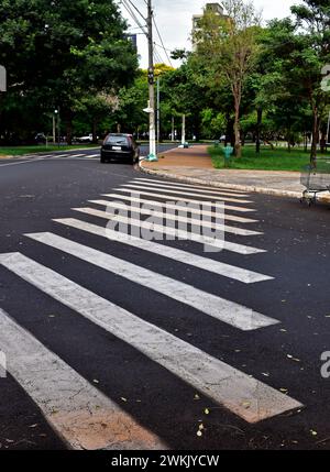 Crosswalks on street in Ribeirao Preto, Sao Paulo, Brazil Stock Photo