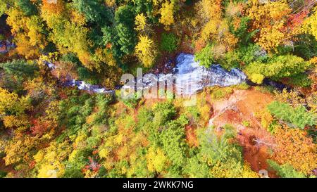 Aerial Top Down View of Autumn Forest and Serene Stream in Michigan Stock Photo