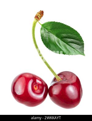 cherry with leaf isolated white background Stock Photo