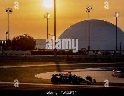 BAHRAIN - Max Verstappen (Red Bull Racing) in action during the second session of the first day of testing at the Bahrain International Circuit Sakhir prior to the start of the Formula 1 season. ANP REMKO DE WAAL Stock Photo