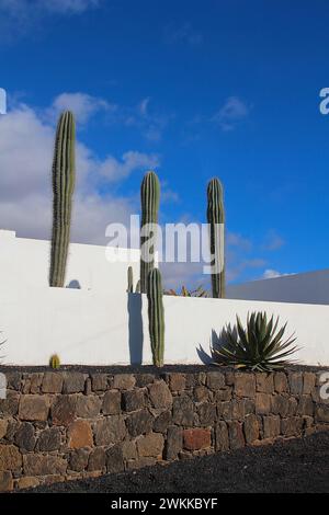 Water-save front yard decoration with cactus and agave plants on white and black of lava flows made wall (Tenerife, Spain) Stock Photo