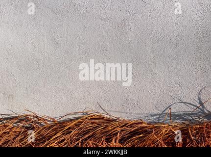White wall texture with dry yellow grass. Stock Photo