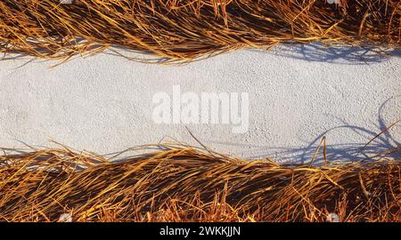 Texture of a white wall with dry yellow grass Stock Photo