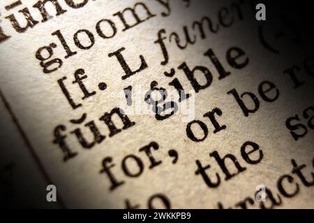 Definition of word fungible on dictionary page, close-up Stock Photo