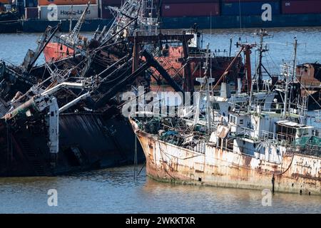 Montevideo harbour shipwrecks 08/01/2024 Shipwrecks in Montevideo harbour Credit: Ian Jacobs Stock Photo