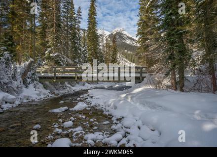 Bridge crossing the Emerald River in the Rocky Mountains in Yoho National Park, British Columbia, Canada Stock Photo