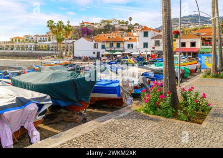 Colorful small fishing boats of blue, yellow and red line the small marina harbor at the small fishing village of Câmara de Lobos, Madeira Portugal Stock Photo