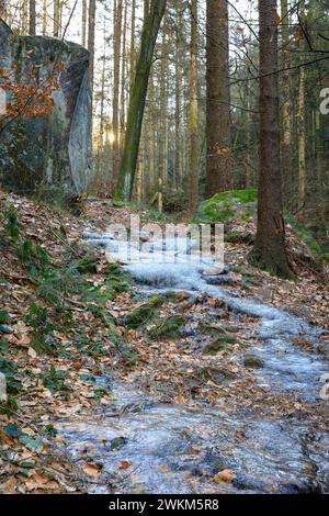 Wanderweg im Halbengrund, Feuchtigkeit tritt aus dem Boden und vereist den ganzen Weg, Hohnstein, Sächsische Schweiz, Sachsen, Deutschland *** Hiking Stock Photo