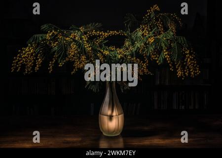 Still life of mimosa in the vase Stock Photo