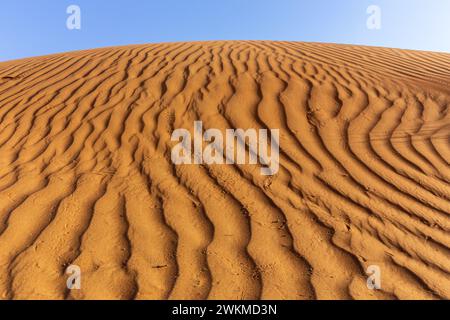 Golden desert dune landscape with rippled sand patterns, blue sky, Dubai, United Arab Emirates. Stock Photo