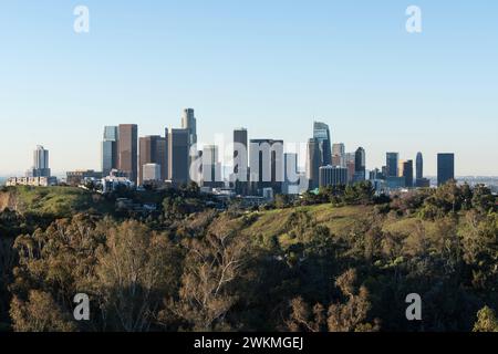 Downtown Los Angeles urban skyline with Elysian Park forest in foreground. Stock Photo