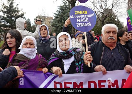 Participants hold a banner and placard during the International Mother Language Day demonstration. The International Mother Language Day is celebrated with a march in Diyarbakir, Turkey. The demonstration, is attended by the Peoples' Equality and Democracy Party (DEM Party), Democratic Regions Party (DBP) and some Kurdish organisations, demanding that the Kurdish language be accepted as an official language and that education be provided with it. Demonstrations are organised in all Kurdish-populated cities in Turkey to protest against the oppression of the Kurdish language. In Turkey, Kurdish Stock Photo