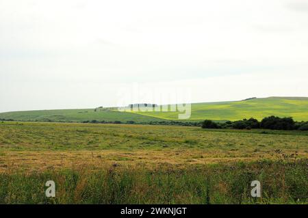 A huge field of freshly cut grass and a flowering field of rapeseed on the slopes of a hilly steppe under a cloudy summer sky. Khakassia, Siberia, Rus Stock Photo