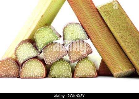 Variety of rhubarb stalks of varying colors from pale green to deep red isolated on white background, health benefits of eating rhubarb Stock Photo