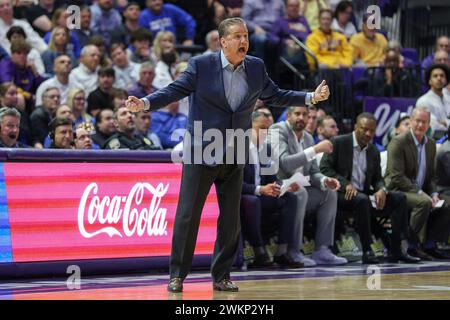 Baton Rouge, LA, USA. 21st Feb, 2024. Kentucky Head Coach John Calipari yells at his players during NCAA Basketball action between the Kentucky Wildcats and the LSU Tigers at the Pete Maravich Assembly Center in Baton Rouge, LA. Jonathan Mailhes/CSM/Alamy Live News Stock Photo