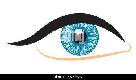 Human eye. Vector illustration isolated on white background. Stock Vector