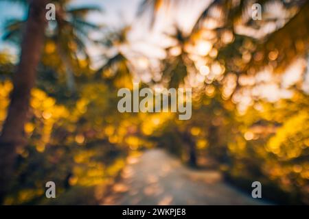 Abstract closeup of tropical palm tree leaf, exotic nature pattern. Sunlight, blurred green foliage. Relaxing nature view, natural leaf texture nature Stock Photo
