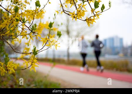 Blooming tree against couple running in park Stock Photo