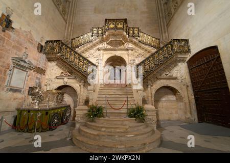 Golden staircase built by Diego de Siloe in the cathedral of Santa Maria de Burgos. Castile and Leon . Spain. Data 2-11-22 Stock Photo