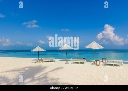 Beautiful tropical beach scenery. sun beds, loungers, umbrella under palm tree. White sand, sea view with horizon, colorful twilight sky, calm tourism Stock Photo