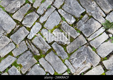 Old cobblestone pathway with green vegetation growing between the stone tile. Top view, no people. Stock Photo