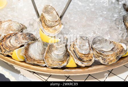Serving fresh oysters on ice on plate with lemon slices. Ready to eat. Luxury concept. Stock Photo