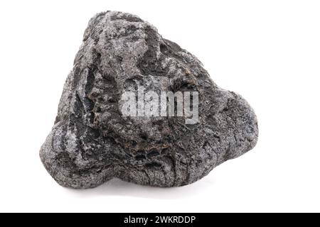 Ammonite embeded in a rock found on the beach U.K. Stock Photo