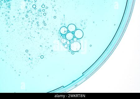 Petri dish. Petri's cup with blue liquid. Chemical elements, oil, cosmetics. Gel, water molecules, viruses. Close-up. On a white background Stock Photo