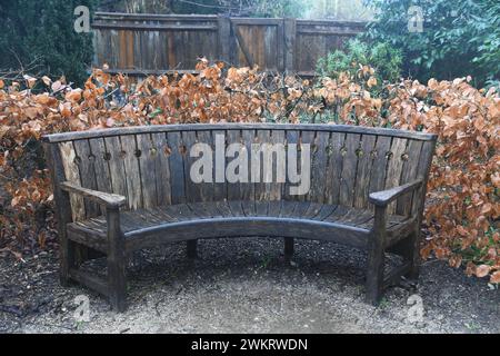 Curved oak bench Stock Photo