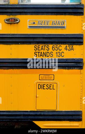 Yellow and black livery of a side panel on an American International 3800 DT 466E Bluebird bodied School bus including high-vis reflective tape. Stock Photo