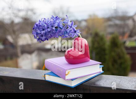 delicate large hyacinth flower in a heart-shaped vase on two books outdoor. Stock Photo