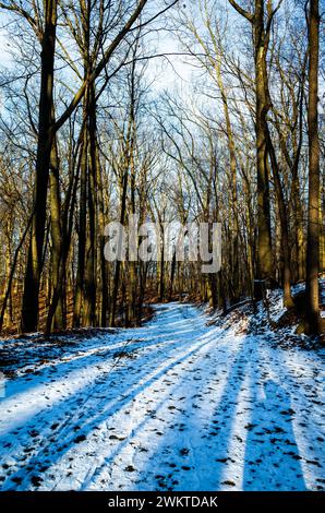 A Snow-covered road winding through a winter forest with tall trees Stock Photo