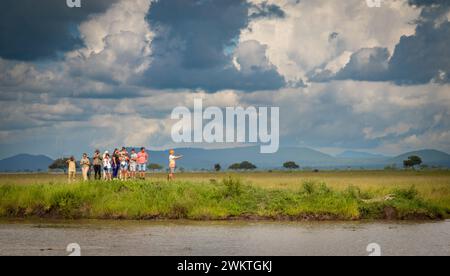 A group of tourists taking photos on smartphones crowd together to get a view of a Nile crocodile in Mikumi National Park in Tanzania. Stock Photo