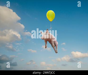 The idiom 'When Pigs Fly' is seen in this funny photo of a pig floating under a balloon through a dramatic sky. Stock Photo