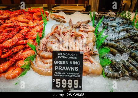 various types of prawns for sale in a fish market with price tags, in Australia. Stock Photo