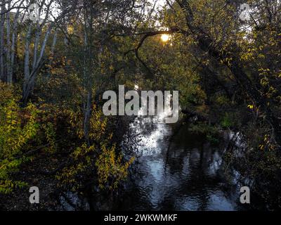 Carmel River at Garland Ranch Regional Park, Carmel Valley, California Stock Photo