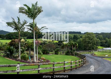 Photo looking down a winding road leading away from a New Zealand farm Stock Photo