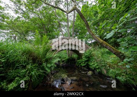 Medieval packhorse bridge, believed to date from the 15th century, on the route from Ilkley to Ripon, near Thornthwaite, North Yorkshire, England, UK Stock Photo