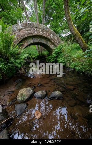 Medieval packhorse bridge, believed to date from the 15th century, on the route from Ilkley to Ripon, near Thornthwaite, North Yorkshire, England, UK Stock Photo