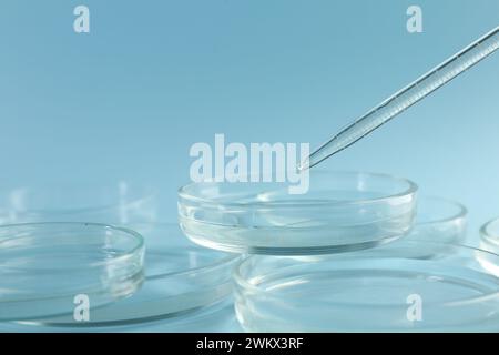 Pipette over petri dish on light blue background, closeup Stock Photo