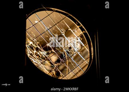 A Close-up shot of Spider webs in the spotlight Stock Photo