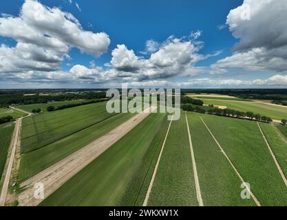 Vibrant green field with numerous trees and grass Stock Photo
