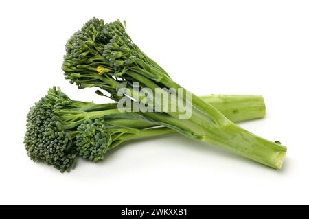 broccolini baby broccoli on white background Stock Photo