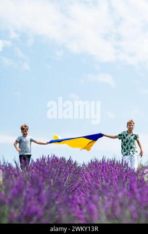 Ivano-Frankivsk, Ukraine August 6, 2023: two boys run on a lavender field with the flag of Ukraine in their hands, children are patriots of their coun Stock Photo