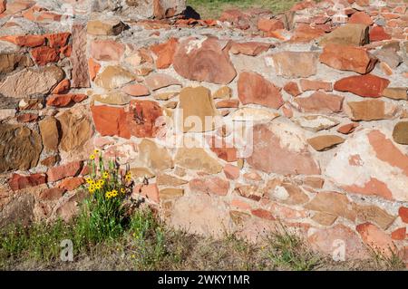 A rough wall of reddish and tan stones set in pale mortar, with small yellow wildflowers at its base, at Fort Davis National Historic Site, Texas. Stock Photo