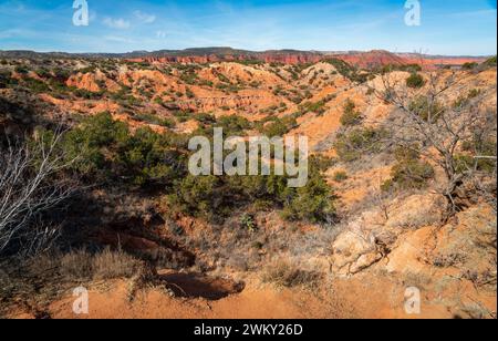 Caprock Canyons State Park, in the eastern edge of the Llano Estacado in Briscoe County, Texas, USA Stock Photo