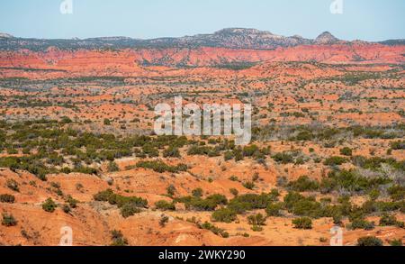 Caprock Canyons State Park, in the eastern edge of the Llano Estacado in Briscoe County, Texas, USA Stock Photo