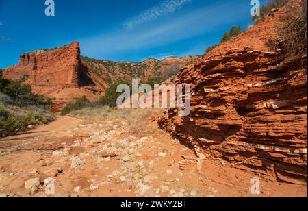 Caprock Canyons State Park, in the eastern edge of the Llano Estacado in Briscoe County, Texas, USA Stock Photo