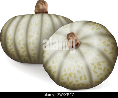 Group of Confection squash. Winter squash. Cucurbita maxima. Fruits and vegetables. Isolated vector illustration. Stock Vector